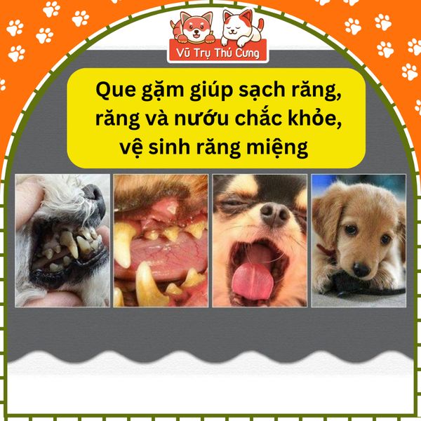 Xương gặm phô mai sạch răng thơm miệng cho chó 7 Dental Effects