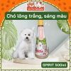 Sữa tắm nước hoa thơm lâu cho Chó Spirit nắp gỗ 500ml