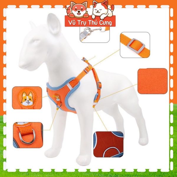 Đai yếm kèm dây dắt thú cưng đi dạo, thiết kế nịt ngực chắc chắn, tiện lợi