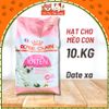 Thức ăn hạt cho mèo con Royal Canin Kitten 10Kg