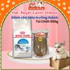 Hạt cho Mèo trưởng thành Royal Canin Indoor 500g/1kg2