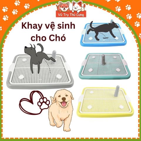 Khay vệ sinh cho Chó size 40x50cm, chất liệu nhựa siêu bền, nắp khóa chắc chắn