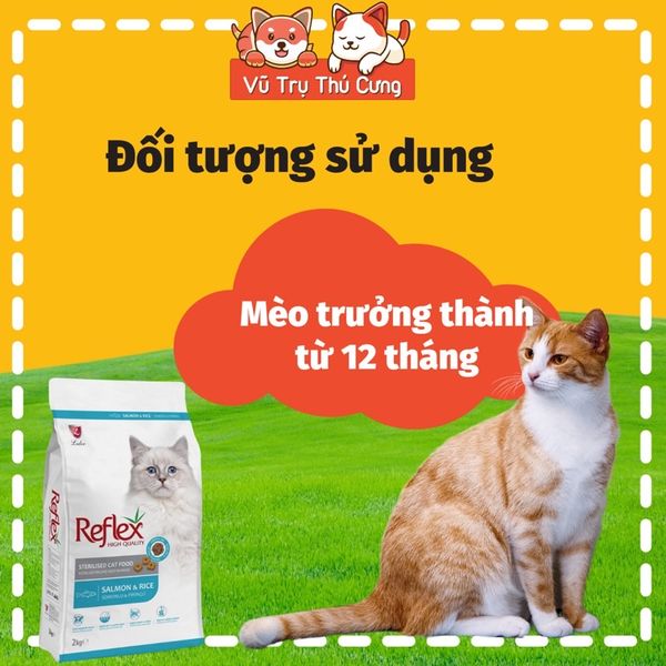 Hạt Reflex dành cho Mèo triệt sản 2Kg, Nhập Châu Âu