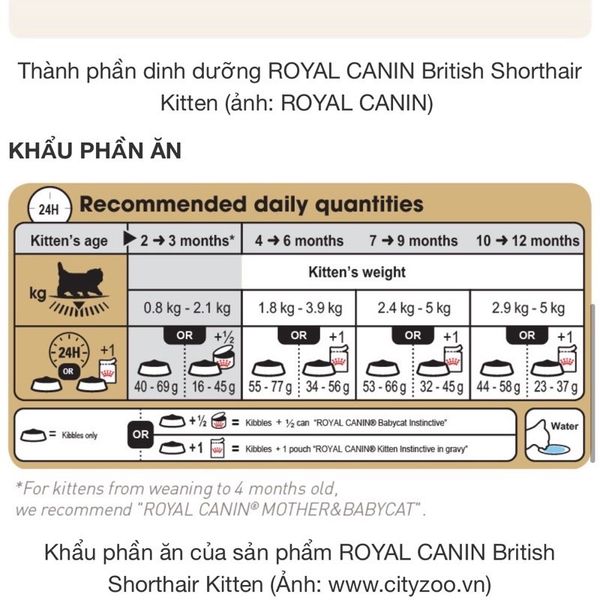 Hạt Royal Canin British Shorthair Kitten Dành Cho Mèo Anh Lông Ngắn 400g