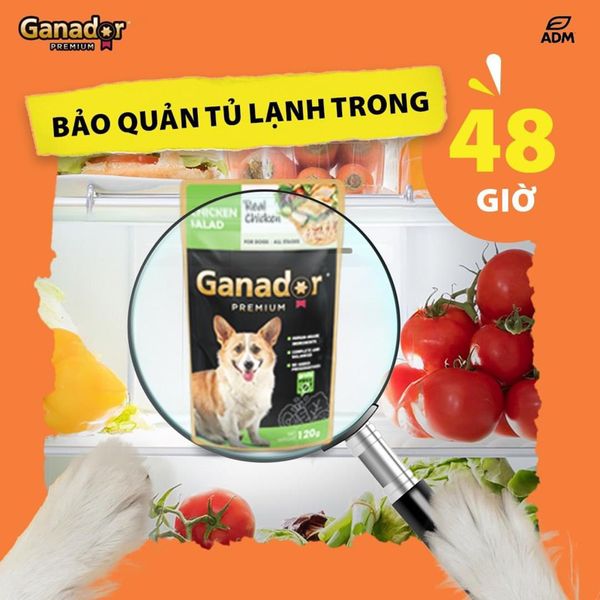 Pate Ganador Chó Mọi Lứa Tuổi Từ Thịt Gà Thật 120g