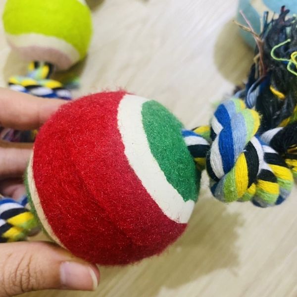 Đồ chơi nhai gặm cho Chó, bóng cao su kèm dây thừng