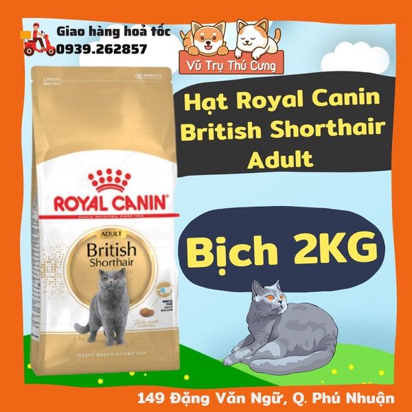 Hạt Royal Canin British Shorthair dành cho Mèo Anh Lông Ngắn trưởng thành 400g