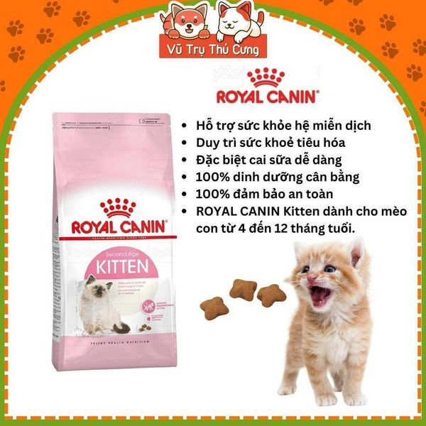 Thức ăn hạt Royal Canin Kitten dành cho mèo con