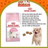 Thức ăn hạt Royal Canin Kitten dành cho mèo con
