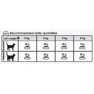 Hạt Cho Mèo Royal Canin Hairball Giúp Tiêu Búi Lông