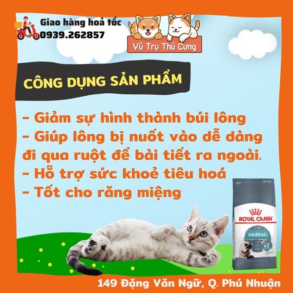 (2Kg) Hạt Cho Mèo Royal Canin Hairball Hỗ Trợ Tiêu Búi Lông