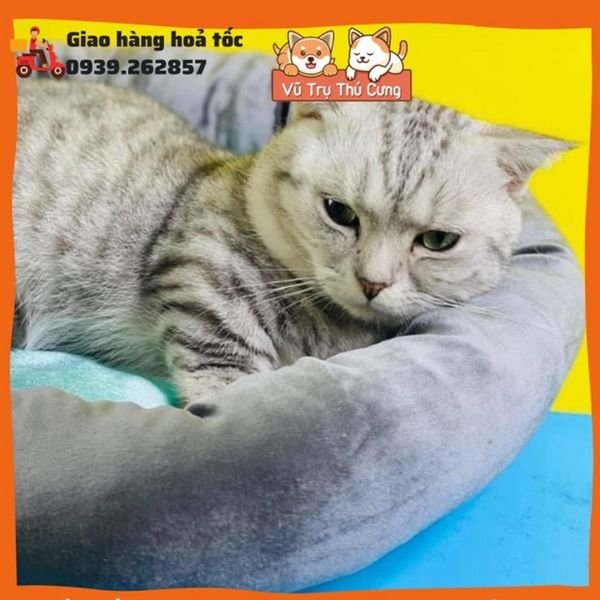 Nệm ngủ cho chó mèo giá rẻ, đệm cho thú cưng giá rẻ đường kính 40cm (lót màu ngẫu nhiên)