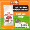 Hạt Royal Canin Fit 32 Dành Cho Mèo Trưởng Thành