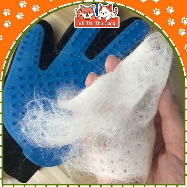 Găng tay chải lông rụng chó mèo - Tắm chó mèo, lấy lông rụng thú cưng (màu ngẫu nhiên)