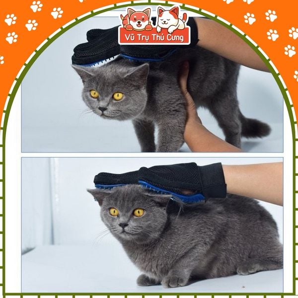 Găng tay chải lông rụng chó mèo - Tắm chó mèo, lấy lông rụng thú cưng (màu ngẫu nhiên)