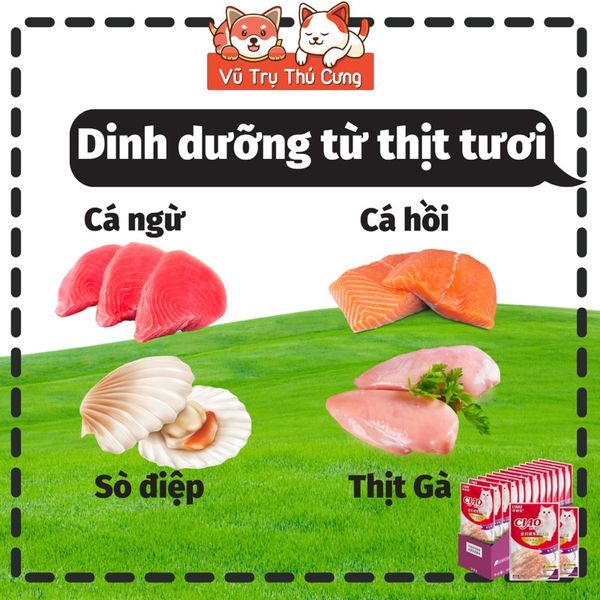 Pate Ciao cho Mèo gói 60g, Thức ăn ướt cho Mèo