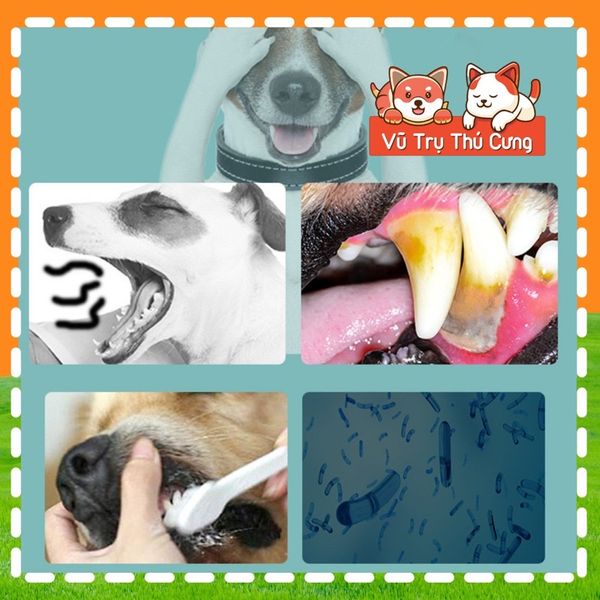 Nước uống thơm miệng, sạch răng dành cho Chó mèo Bioline 300ml