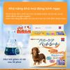 Tã Lót Chuồng Vệ Sinh Cho Chó Mèo Honey Care Deluxe Siêu Thấm Hút, Siêu Khử Mùi