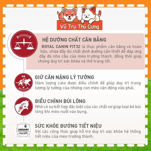 Hạt Royal Canin Fit 32 Dành Cho Mèo Trưởng Thành