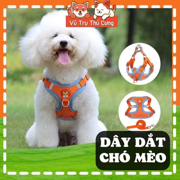 Đai yếm kèm dây dắt thú cưng đi dạo, thiết kế nịt ngực chắc chắn, tiện lợi