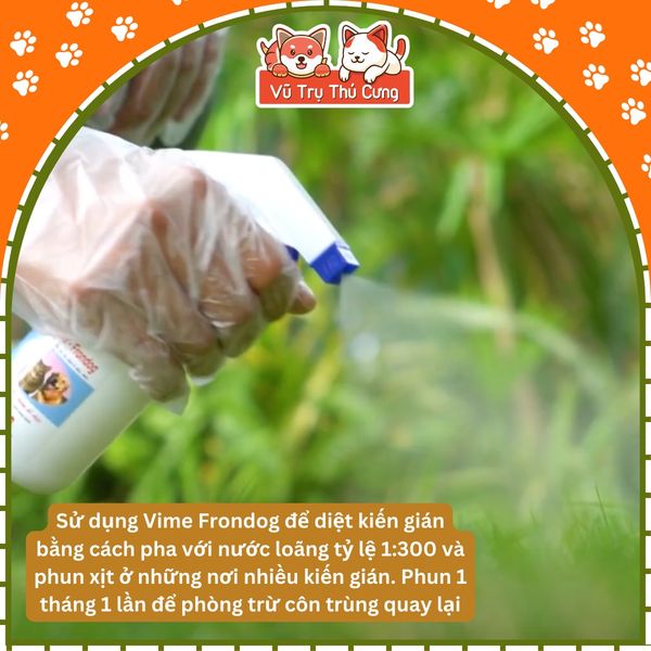 Chai xịt diệt ve rận, bọ chét cho Chó mèo Vime Frondog 250ml