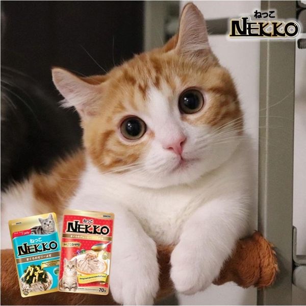 Pate Nekko Thái Lan Cho Mèo Mọi Lứa Tuổi 70g