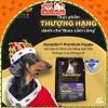 Thức Ăn Hạt Cho Chó Ganador Cung Cấp Nhiều Dinh Dưỡng 10kg