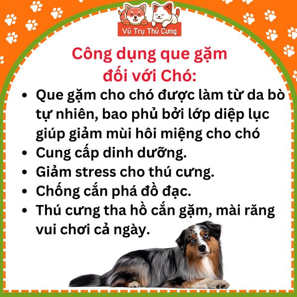 Snack Cho Chó Que Da Bò Nhúng Thịt Gà DoggyMan (10 Que)