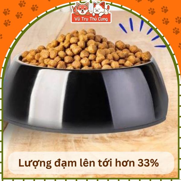 (Có quà tặng) Thức ăn hạt cho mèo mọi lứa tuổi Cat’s On 1kg