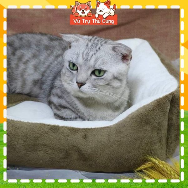 Nệm ngủ cho Chó mèo hoạ tiết cục xương hình chữ nhật