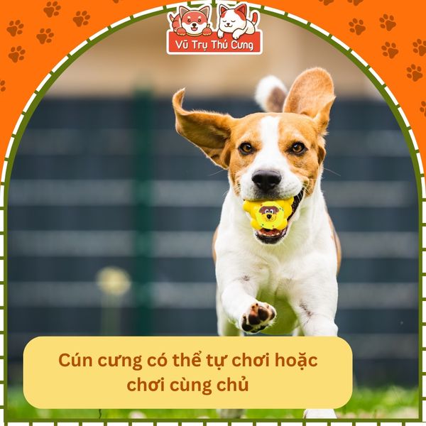 Đồ chơi bóng gặm cho thú cưng, hình mặt chó có tiếng kêu