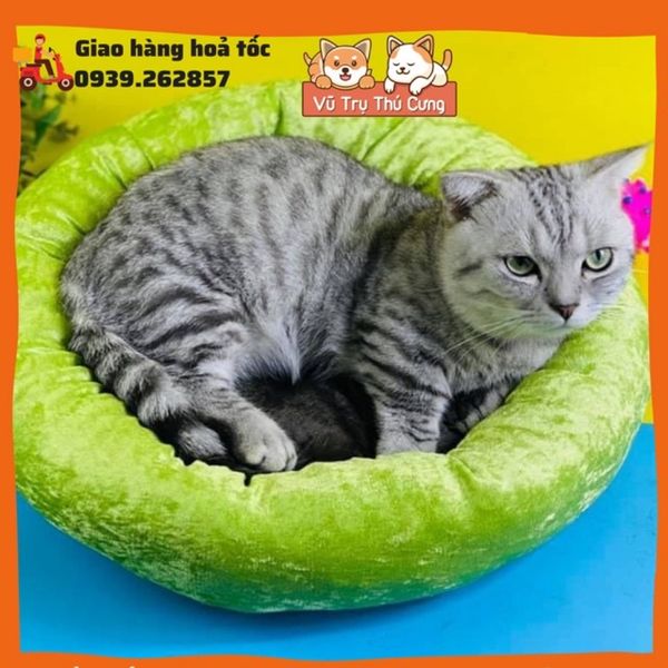 Nệm ngủ cho chó mèo giá rẻ, đệm cho thú cưng giá rẻ đường kính 40cm (lót màu ngẫu nhiên)