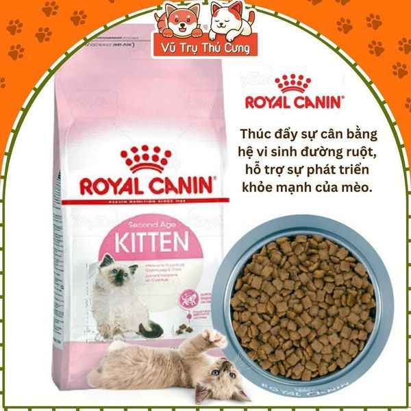 Thức ăn hạt Royal Canin Kitten dành cho mèo con