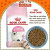 Thức ăn hạt Royal Canin Kitten dành cho mèo con