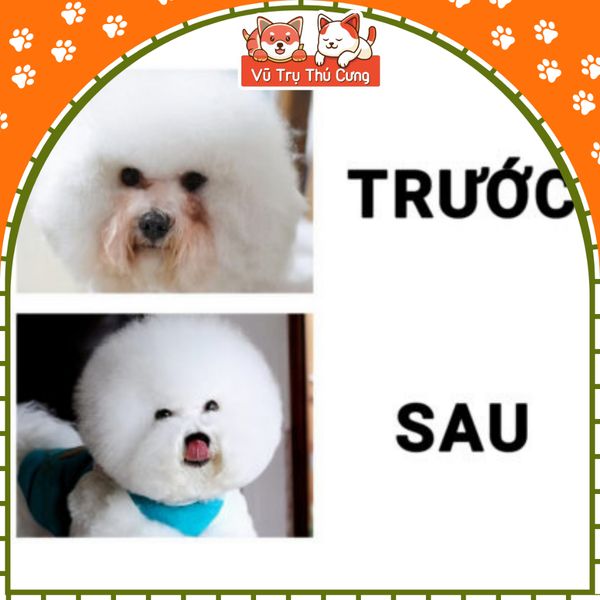 Dung dịch lau mắt cho chó mèo Bioline 50ml