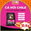 Thức Ăn Hạt Cho Chó Ganador Cung Cấp Nhiều Dinh Dưỡng 10kg