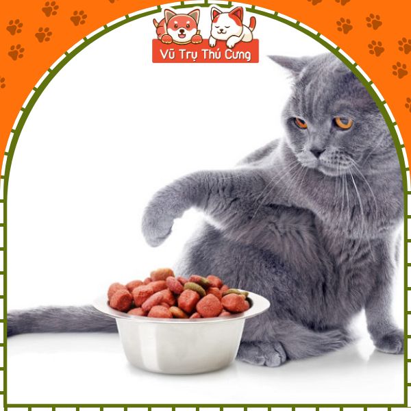 Hạt Whiskas dành cho mèo trưởng thành đủ 3 vị, túi 1.2Kg