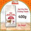Hạt Royal Canin Fit 32 Dành Cho Mèo Trưởng Thành