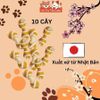 Snack cho Chó Dạng Xương Nơ Doggy Man Nhật Bản 10 cây