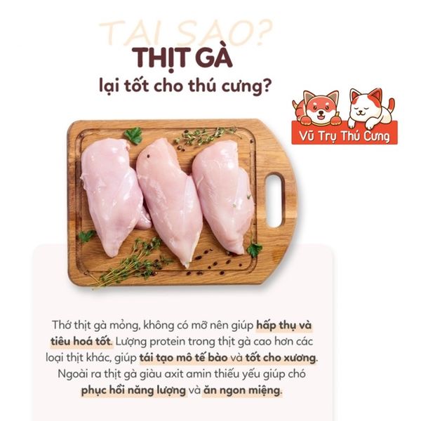 Thức Ăn Hạt Mềm Cho Chó ANF Soft Hàn Quốc