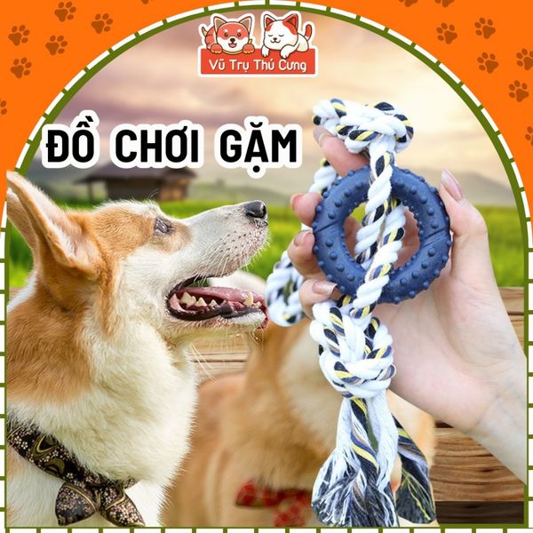 Đồ Chơi Cho Chó Mèo Gặm Sạch Răng & Huấn Luyện