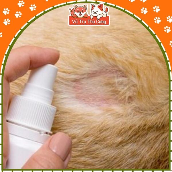 Dung dịch xịt FUNGIKUR ALKINLAB cho Chó Mèo 50ml| Dung dịch xịt nấm da, viêm da cho Chó Mèo