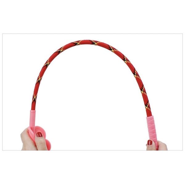 Gậy huấn luyện Chó mèo 42cm