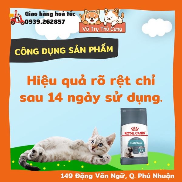 (2Kg) Hạt Cho Mèo Royal Canin Hairball Hỗ Trợ Tiêu Búi Lông
