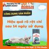 (2Kg) Hạt Cho Mèo Royal Canin Hairball Hỗ Trợ Tiêu Búi Lông