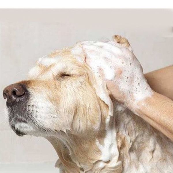 Dụng cụ Massage tạo bọt tắm cho thú cưng tiện lợi