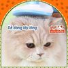 Lược chải lông chó mèo có nút bấm lấy lông tiện lợi, size lớn