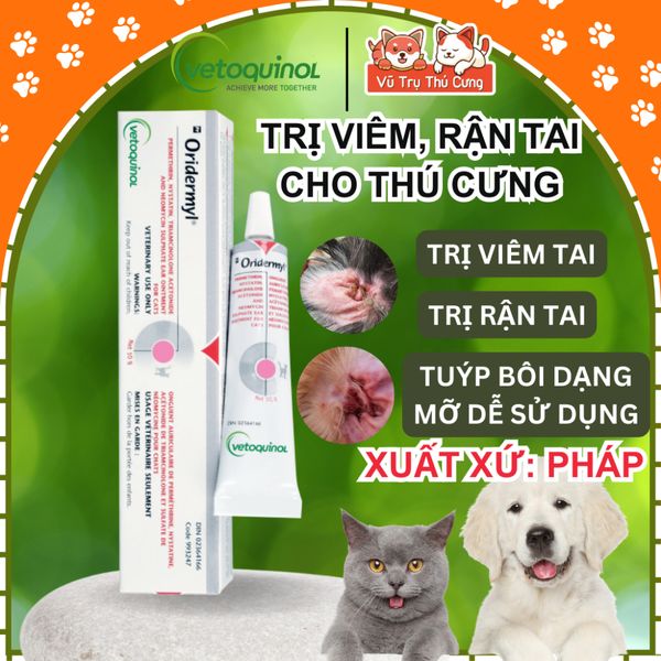 Nhỏ vệ sinh tai chó mèo, ve tai, rận tai, hôi tai OTOKLEN, ORIDERMYL