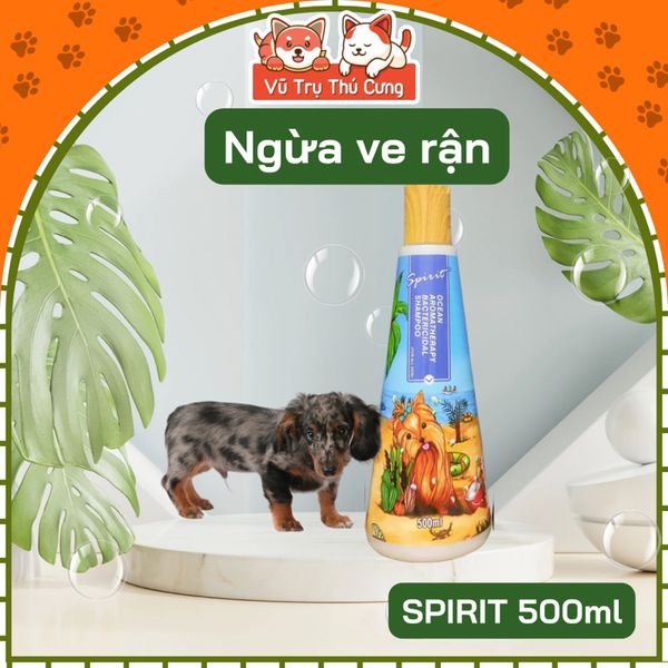 Sữa tắm nước hoa thơm lâu cho Chó Spirit nắp gỗ 500ml
