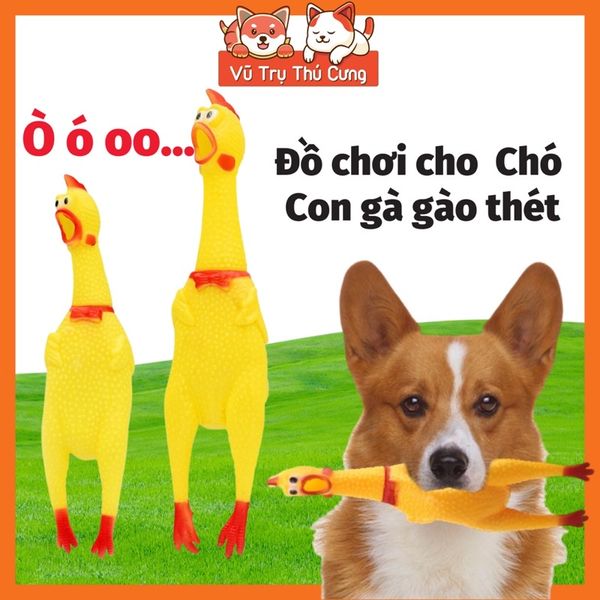 Đồ chơi cho Chó, con gà kêu chút chít ngộ nghĩnh